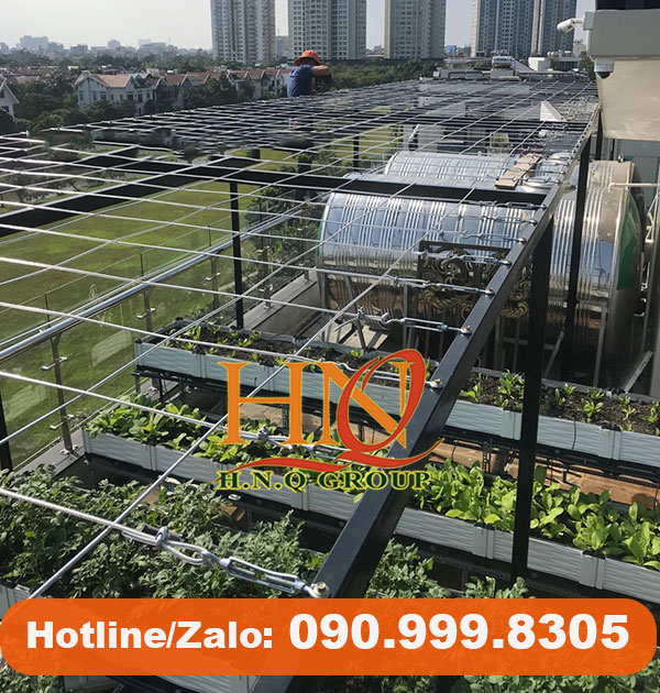 Làm giàn trồng bầu, bí bằng dây cáp thép bọc nhựa
